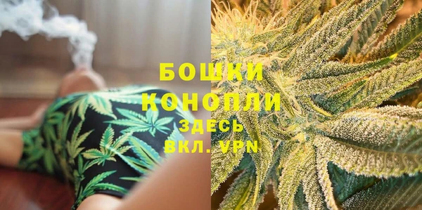 прущие крисы Мегион