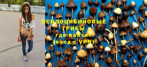 прущие крисы Мегион