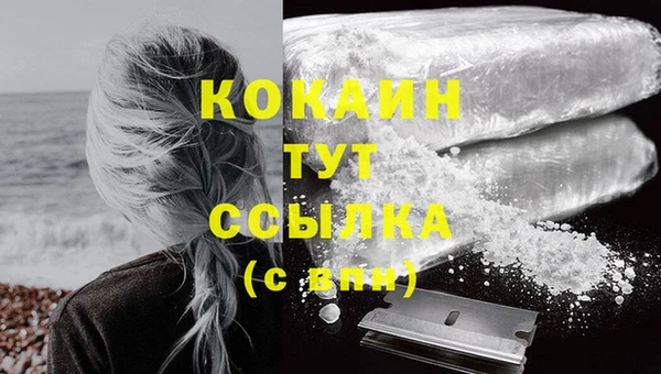 прущие крисы Медвежьегорск