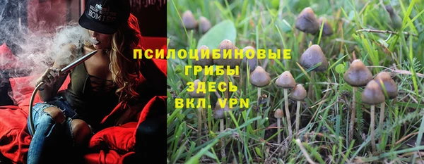 прущие крисы Медвежьегорск