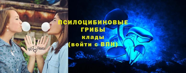 прущие крисы Медвежьегорск
